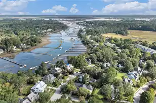 3593 Henrietta Hartford Rd, Mount Pleasant, SC 29466 - Photo 41