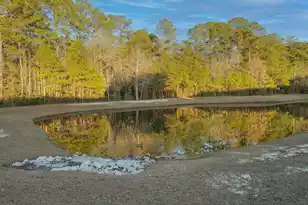 159 Cypress Forest Dr, Moncks Corner, SC 29461 - Photo 43