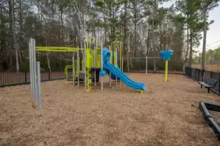 159 Cypress Forest Dr, Moncks Corner, SC 29461 - Photo 41