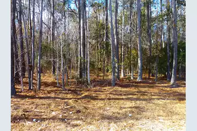 123 State Road, Summerville, SC 29486 - Photo 5