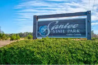 209 Partridge Run Road, Santee, SC 29142 - Photo 33