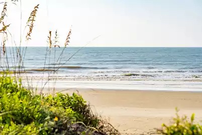 6 29th Avenue, Isle Of Palms, SC 29451 - Photo 51