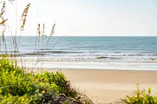 6 29th Ave, Isle Of Palms, SC 29451 - Photo 51