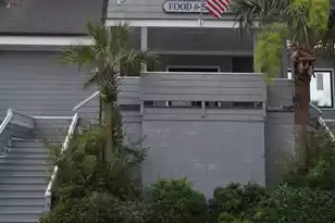 6 29th Ave, Isle Of Palms, SC 29451 - Photo 53