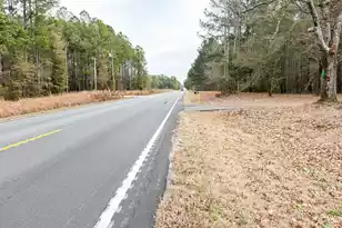 3651 Edisto River Rd, Branchville, SC 29432 - Photo 7