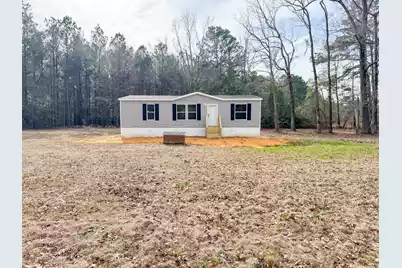 3651 Edisto River Road, Branchville, SC 29432 - Photo 1
