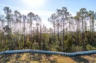 2284 Minifarm Wy, Mount Pleasant, SC 29466 - Photo 53