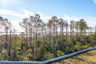 2284 Minifarm Wy, Mount Pleasant, SC 29466 - Photo 57