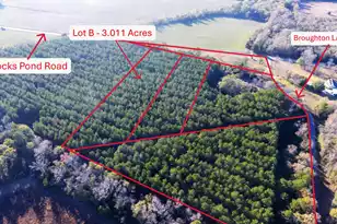 0 Broughton (Lot B) Ln, Eutawville, SC 29048 - Photo 1