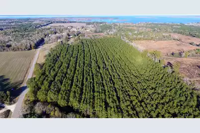 00 Broughton (Lot C) Lane, Eutawville, SC 29048 - Photo 3