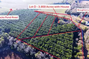 144 Broughton Ln, Eutawville, SC 29048 - Photo 1