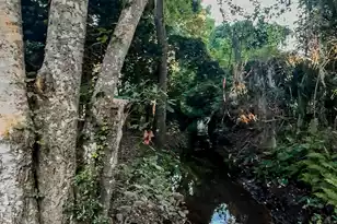 1509 Palmetto Fort Dr W, Mount Pleasant, SC 29466 - Photo 37