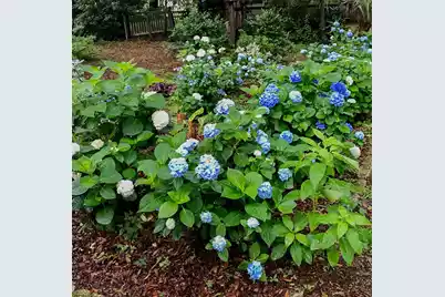 1509 Palmetto Fort Drive W, Mount Pleasant, SC 29466 - Photo 31