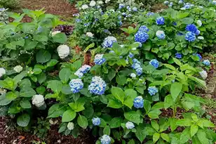 1509 Palmetto Fort Dr W, Mount Pleasant, SC 29466 - Photo 31