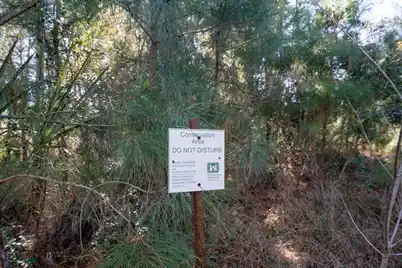 934 Fish Camp Road, Charleston, SC 29492 - Photo 7