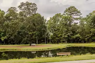 1225 Blakeway St, Charleston, SC 29492 - Photo 17