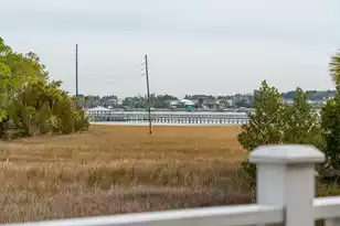 2838 Dragonfly Cir, Mount Pleasant, SC 29466 - Photo 65