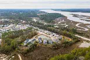 2838 Dragonfly Cir, Mount Pleasant, SC 29466 - Photo 79