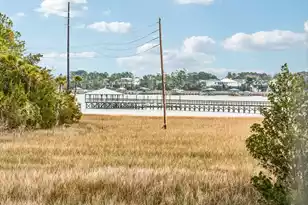 2838 Dragonfly Cir, Mount Pleasant, SC 29466 - Photo 37