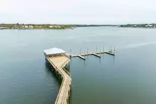 2838 Dragonfly Cir, Mount Pleasant, SC 29466 - Photo 85