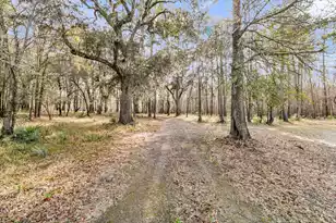 235 Pine Bluff Rd, Dorchester, SC 29437 - Photo 39