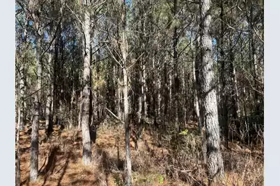 6 Red Oak Rd, Cottageville, SC 29435 - Photo 3