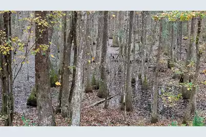 00 Betsy Hole Road, Bonneau, SC 29431 - Photo 3