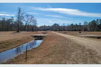 170 Rice Gate Court, Walterboro, SC 29488 - Photo 3