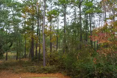 229 Slipper Shell Court, Mount Pleasant, SC 29464 - Photo 27