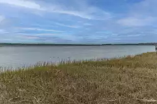 2457 Lieutenant Dozier Dr, Johns Island, SC 29455 - Photo 57