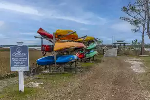 2457 Lieutenant Dozier Dr, Johns Island, SC 29455 - Photo 61