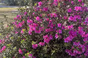 431 Otis Rd, Walterboro, SC 29488 - Photo 29