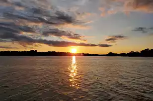 1026 Radius St, Manning, SC 29102 - Photo 53