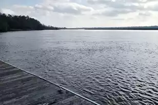 4636 Palm View Cir, North Charleston, SC 29418 - Photo 45