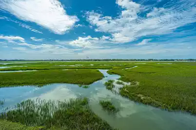 242 Little Oak Island Drive, Folly Beach, SC 29439 - Photo 41