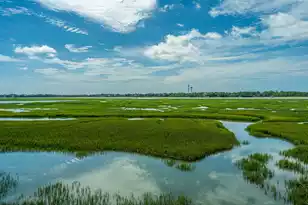 242 Little Oak Island Dr, Folly Beach, SC 29439 - Photo 43