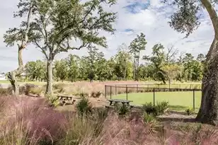 1036 Patagonia St, Summerville, SC 29485 - Photo 15