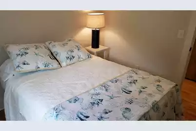 925 Jacksnipe Lane, Mount Pleasant, SC 29464 - Photo 19