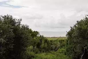 56 Surfsong Rd, Kiawah Island, SC 29455 - Photo 39