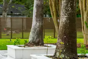 924 White Point Blvd, Charleston, SC 29412 - Photo 75