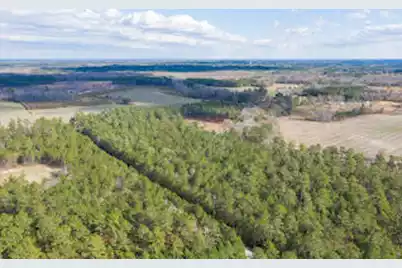 122 Deer Run Avenue, Andrews, SC 29510 - Photo 5