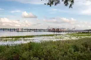 540 Helmsman St, Daniel Island, SC 29492 - Photo 9