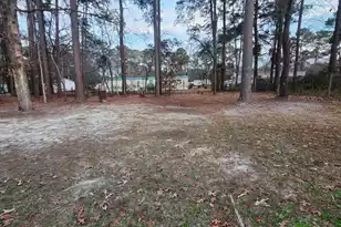 114 Dublin St, Walterboro, SC 29488 - Photo 11