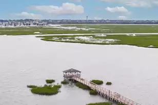 1551 Ben Sawyer Blvd, Mount Pleasant, SC 29464 - Photo 9