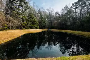 805 Bibury Ct, Charleston, SC 29414 - Photo 23