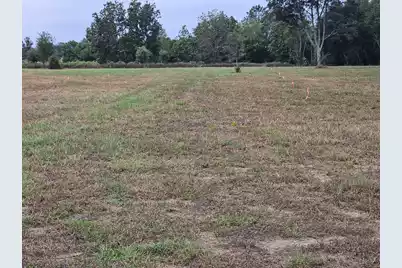 00 Tee Vee Road, Elloree, SC 29047 - Photo 9