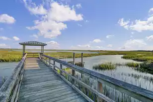 1543 Prince Edward St, Mount Pleasant, SC 29466 - Photo 91