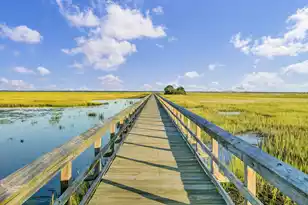 1543 Prince Edward St, Mount Pleasant, SC 29466 - Photo 89