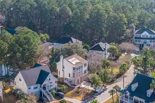 1415 Black River Dr, Mount Pleasant, SC 29466 - Photo 41