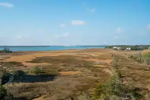 155 Wingo Way, Mount Pleasant, SC 29464 - Photo 27